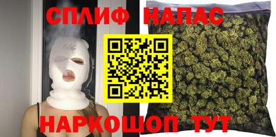 spice Дубна