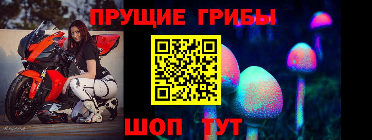 Луховицы  Галлюциногенные грибы Magic Shrooms  Вход с VPN  Галлюциногенные грибы GOLDEN TEACHER 
